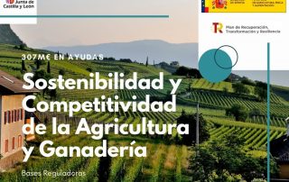 Subvencion Agricultura y Ganaderia (MAPA)