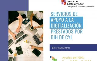 Subvencion Servicios DIH (ICE)